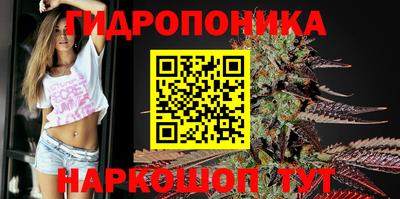 Альфа ПВП Каменск-Шахтинский