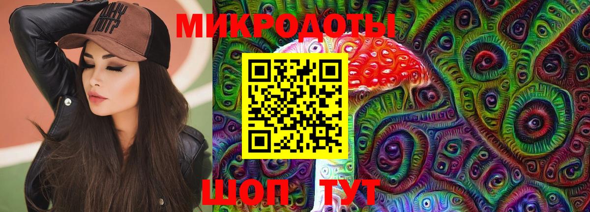 Псилоцибиновые грибы GOLDEN TEACHER  Галлюциногенные грибы GOLDEN TEACHER  где продают наркотики  Курчалой  Вход с VPN 