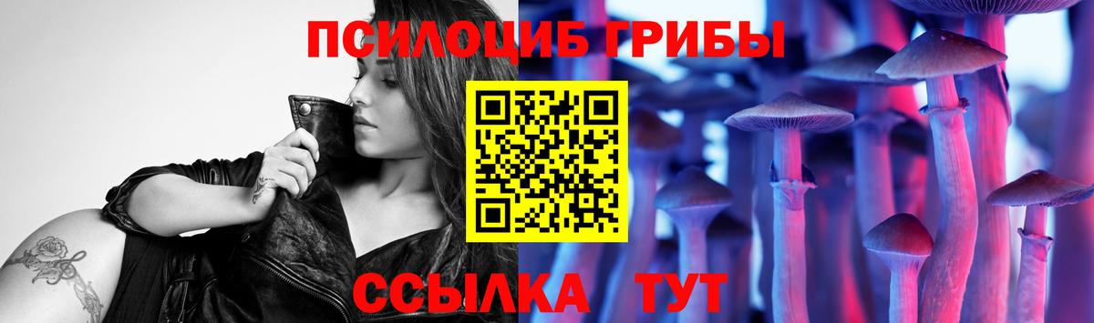 Псилоцибиновые грибы MAGIC MUSHROOMS Курчалой
