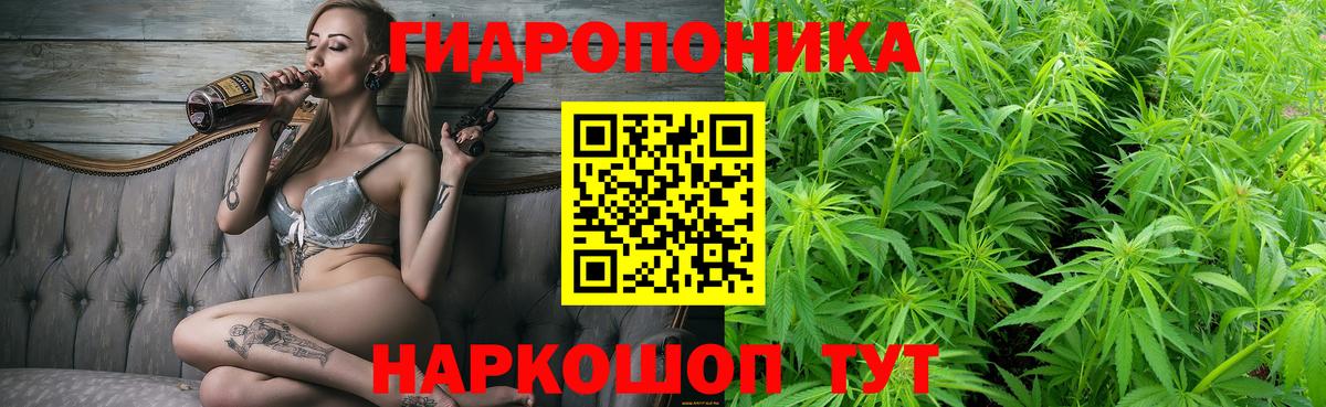Шишки марихуана SATIVA & INDICA  Конопля тримм  Курчалой  Вход с VPN  Бошки марихуана сатива 